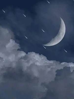 沈教授，我牙疼