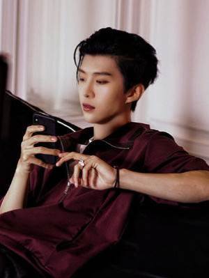 沙雕總裁的心尖寵