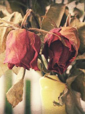 當你和心動一起出現