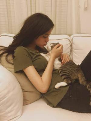 當冤種前男友變成了我的貓