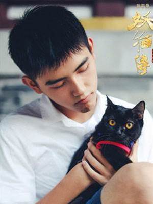 撿來的流浪貓變成人