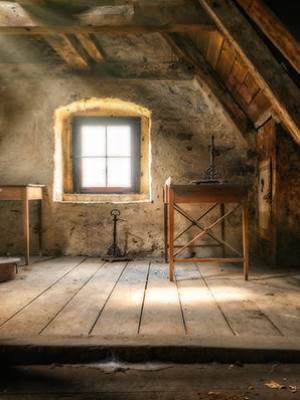 閣樓關一個怪物