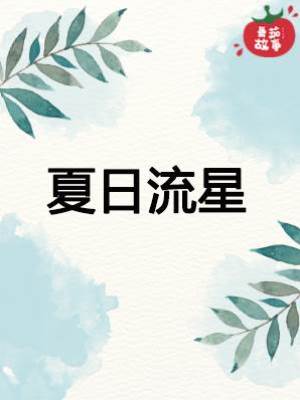 夏日流星