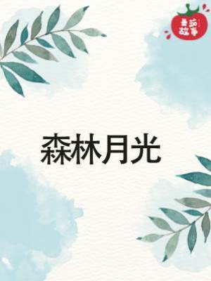 森林月光