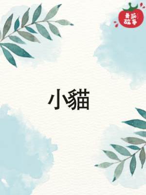 小貓