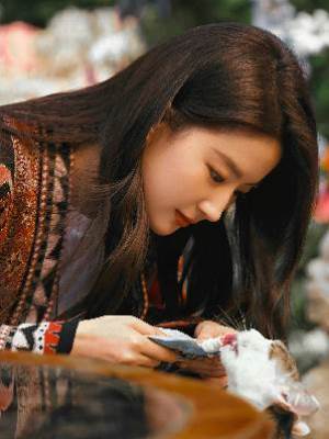 重生后我廢了男主