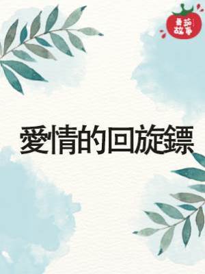 愛情的回旋鏢