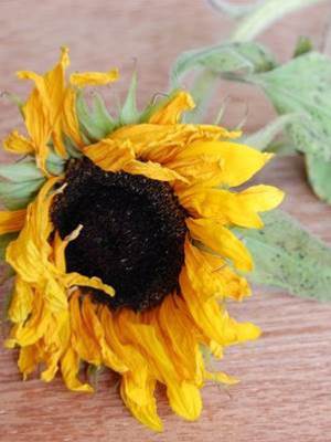 後知後覺的報應