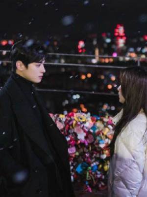 離婚前夜我變成了倉鼠