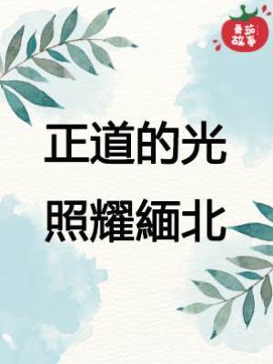 靈珠傳14：正道的光照耀緬北