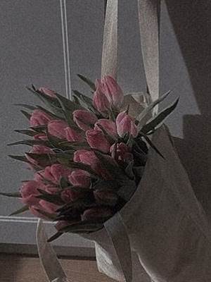 女炮灰的高光時刻