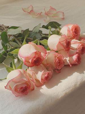 替身竟是我自己