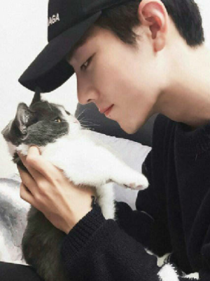 穿書后我每天都在擼狐貍